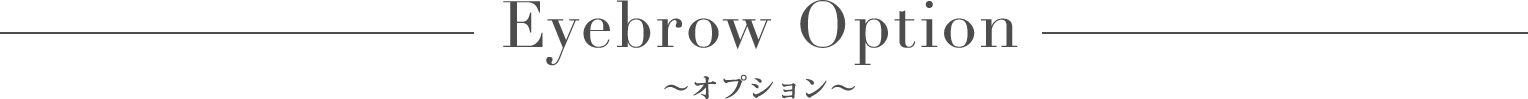 アイブローオプション