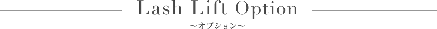 ラッシュリフトオプション