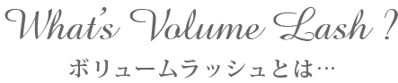 ボリュームラッシュとは