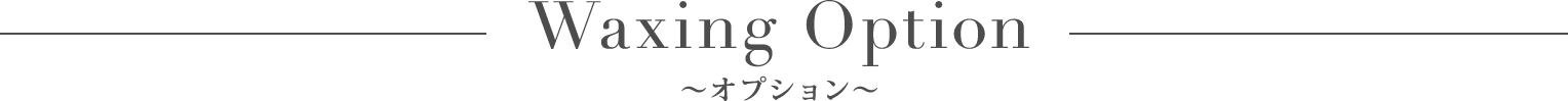 オプション